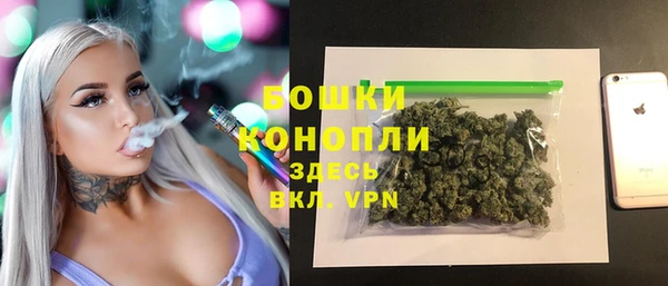 прущие крисы Бородино