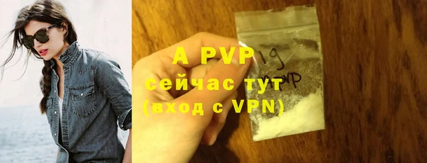 прущие крисы Бородино