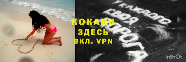 прущие крисы Бородино