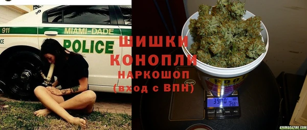 прущие крисы Бородино