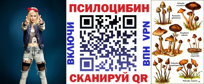 Галлюциногенные грибы Cubensis  где можно купить   Воркута 